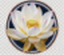 Lotus Flower Emblem